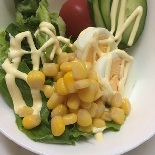 マヨで食べたね☆サラダ菜とレタスの生野菜サラダ☆